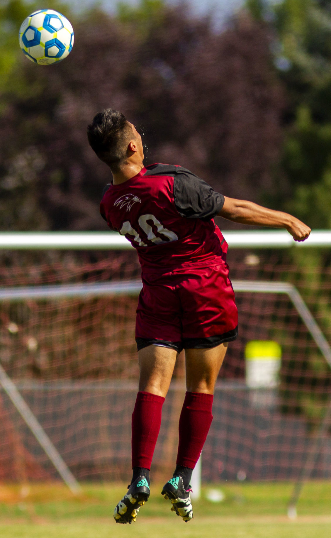 Twin Falls vs Canyon Ridge boys soccer